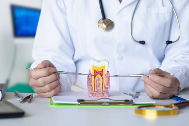 Best Emergency Dentist for Lost Fillings or Crowns in Monticello, IL